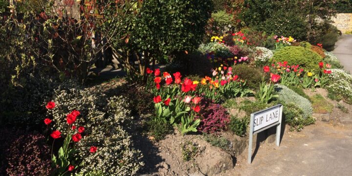 Alkham Garden Club